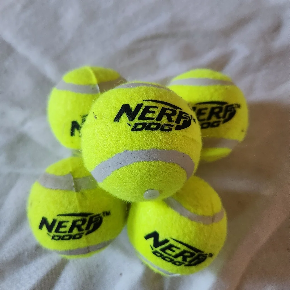Nerf Dog Tennis Balls Set of 5 High Visibility Fetch Balls Pet Toy